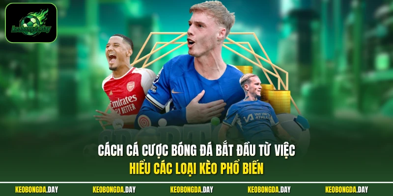 Cách cá cược bóng đá bắt đầu từ việc hiểu các loại kèo phổ biến