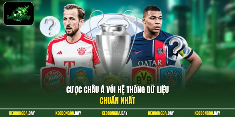 Cược Châu Á với hệ thống dữ liệu chuẩn nhất