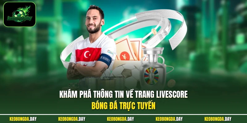 Khám phá thông tin về trang Livescore bóng đá trực tuyến